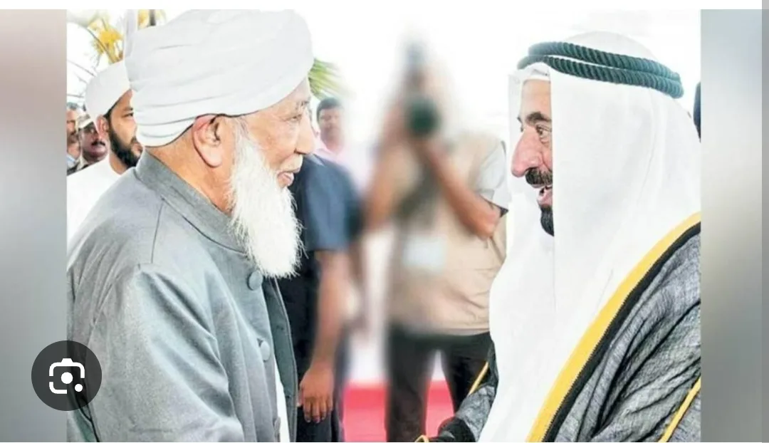 صورة رقم 14